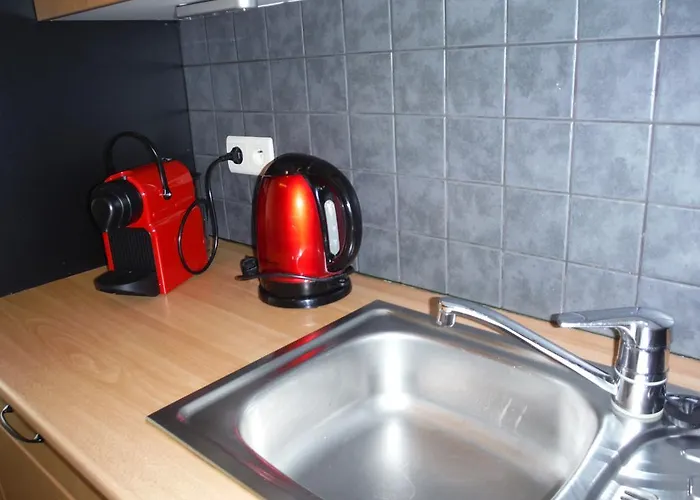 皇家公园公寓 *